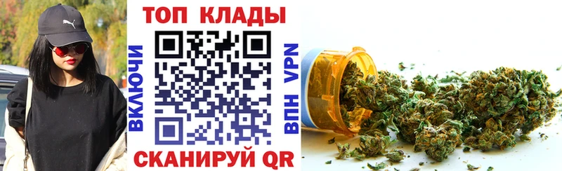 Купить закладку Бошки Шишки  A-PVP  ГАШ  Псилоцибиновые грибы  Меф  Стрежевой