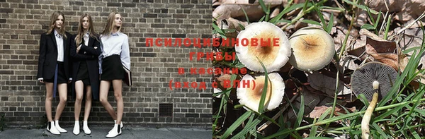 apvp Балахна