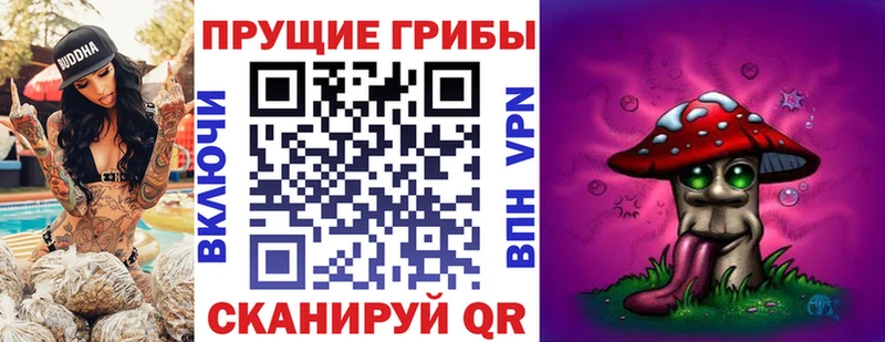 Купить  Стрежевой  Галлюциногенные грибы MAGIC MUSHROOMS 
