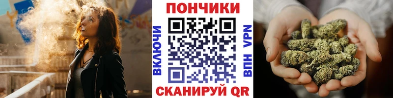 Купить  Стрежевой  Конопля сатива 